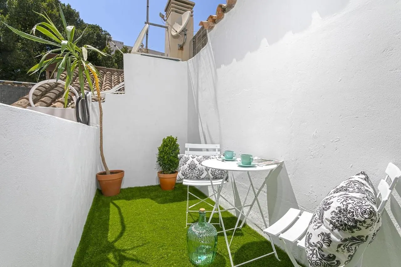 Historic Center Private Terrace Apartment Malaga